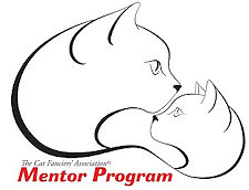 Mentoring Program