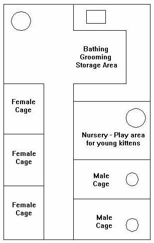Cattery layout