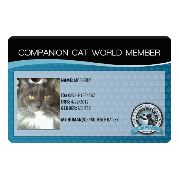 CCW Membership Card