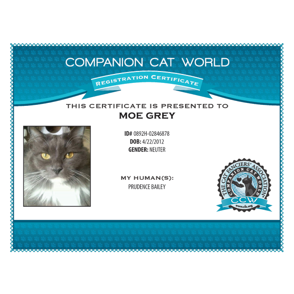 CCW Official Certificate