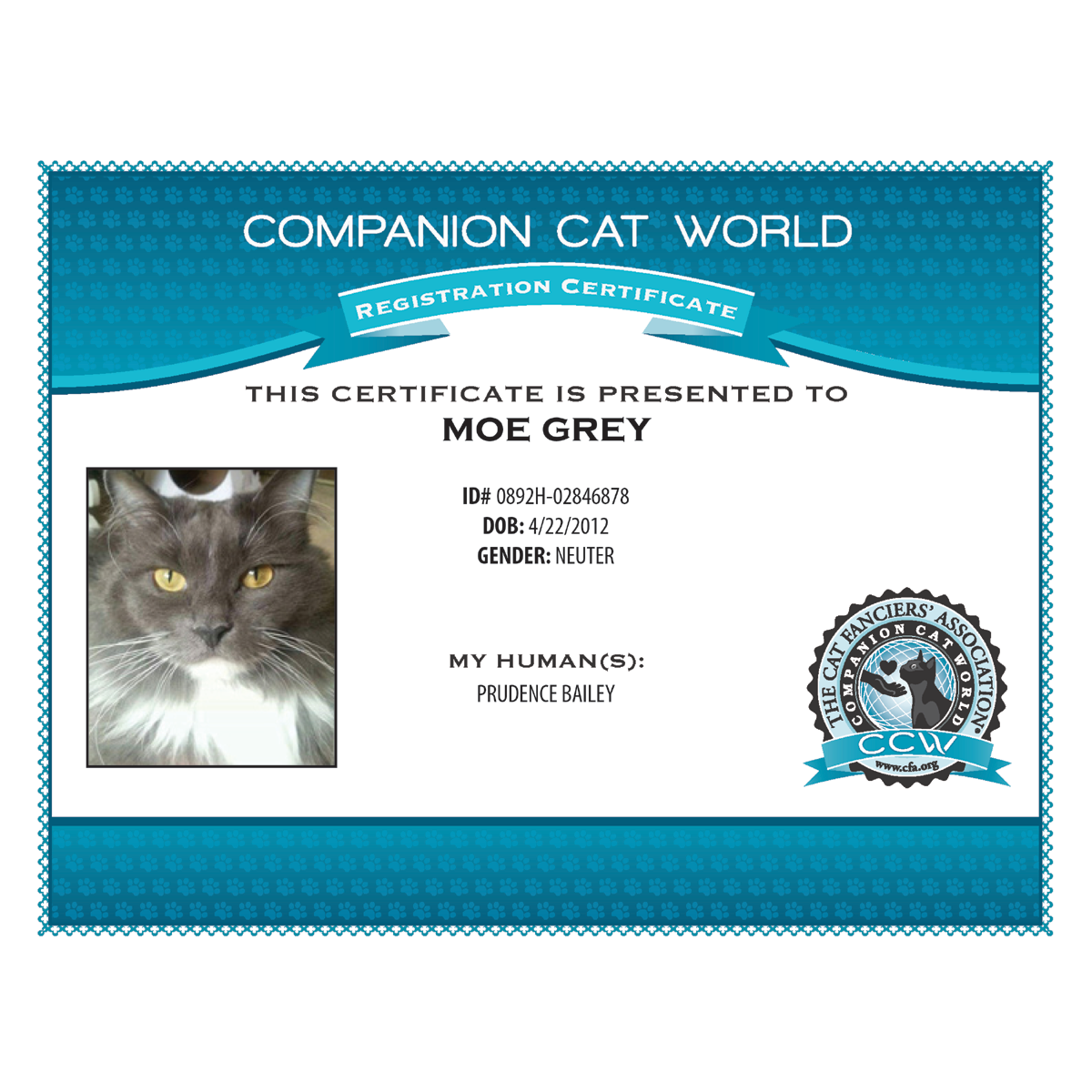 cat travel certificate