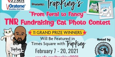 Cat owners can enter their cats in the competition beginning Sunday, February 7. Spectators can vote on their favorite cats from February 14 through 26 and the judges will announce the winners on Facebook February 27 and 28.