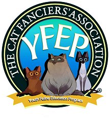 YFEP logo